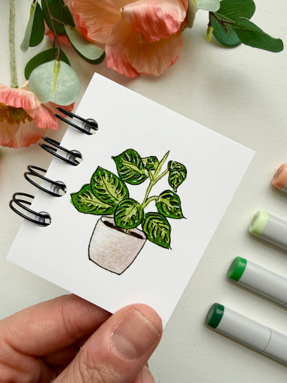 Hand-Illustrated + Handmade Mini Notebook/Sketchbook | Maranta Houseplant