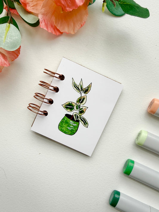 Hand-Illustrated + Handmade Mini Notebook/Sketchbook | Ficus Houseplant