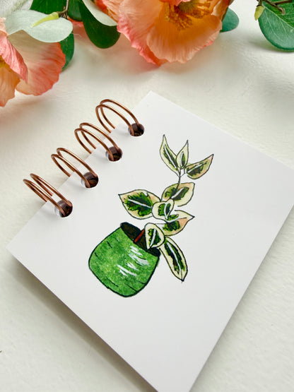Hand-Illustrated + Handmade Mini Notebook/Sketchbook | Ficus Houseplant