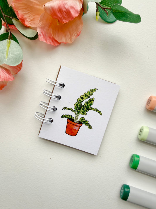 Hand-Illustrated + Handmade Mini Notebook/Sketchbook | Calathea Houseplant