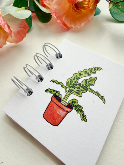 Hand-Illustrated + Handmade Mini Notebook/Sketchbook | Calathea Houseplant
