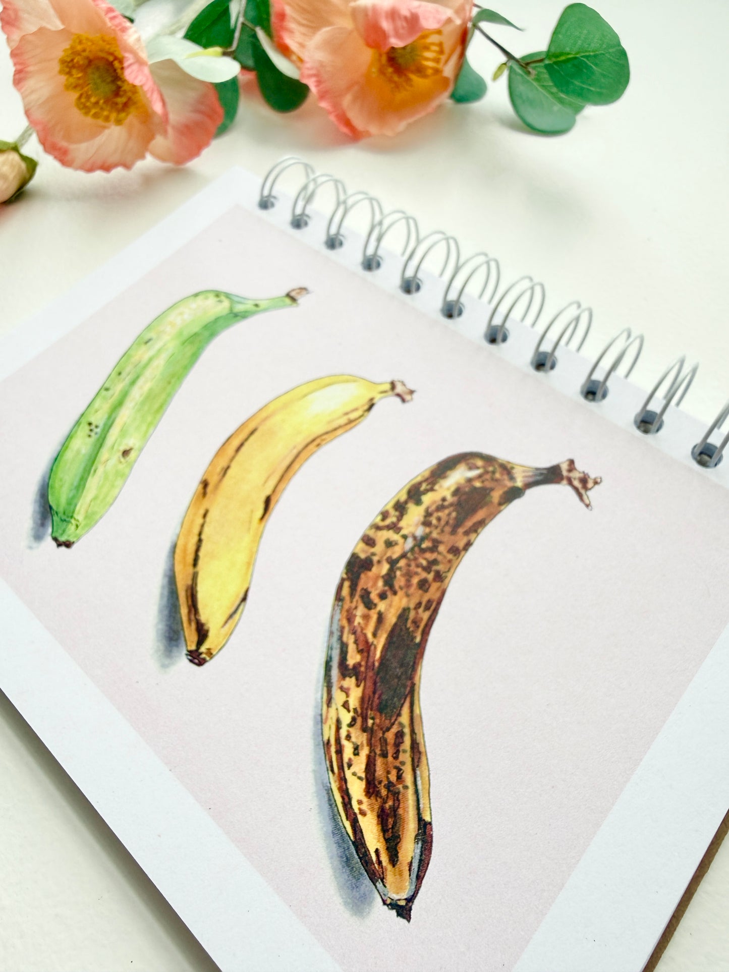 Hand-Illustrated + Handmade Notebook/Sketchbook | Bananas