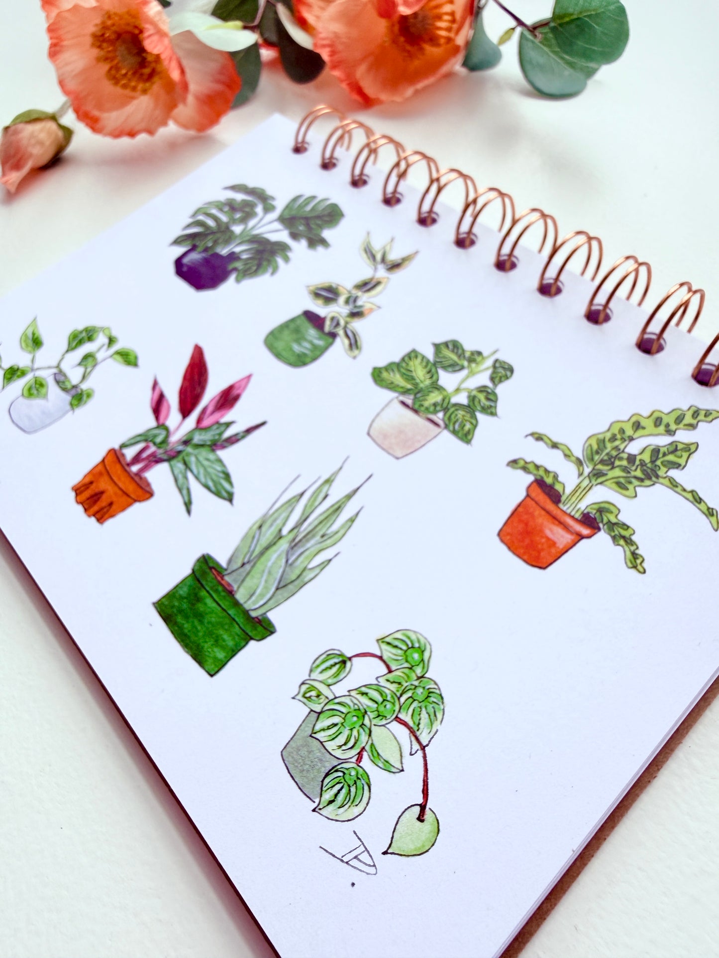 Hand-Illustrated + Handmade Notebook/Sketchbook | Houseplants