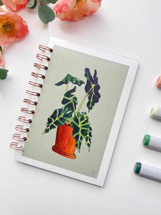 Elephant Ear Houseplant - Sage Background | Hand-Illustrated + Handmade Notebook/Sketchbook