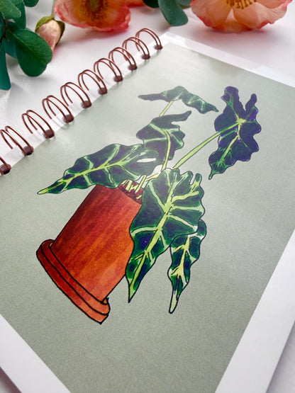 Elephant Ear Houseplant - Sage Background | Hand-Illustrated + Handmade Notebook/Sketchbook