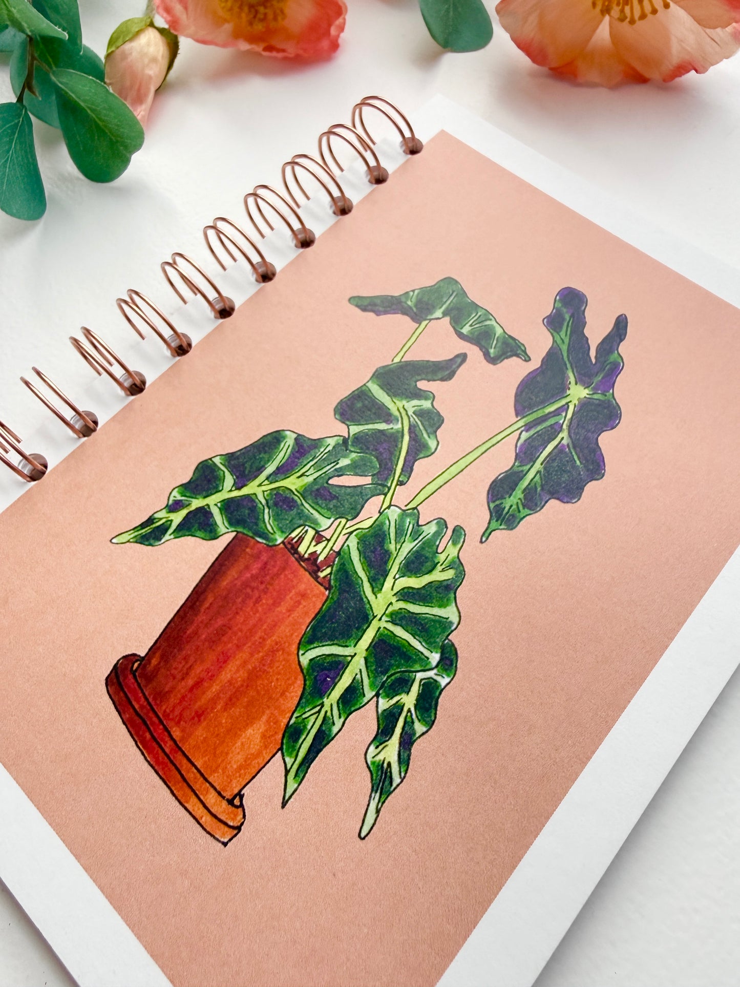 Elephant Ear Houseplant - Terra Cotta Background | Hand-Illustrated + Handmade Notebook/Sketchbook