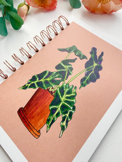 Elephant Ear Houseplant - Terra Cotta Background | Hand-Illustrated + Handmade Notebook/Sketchbook