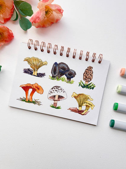 Mushrooms Hand-Illustrated + Handmade Notebook/Sketchbook