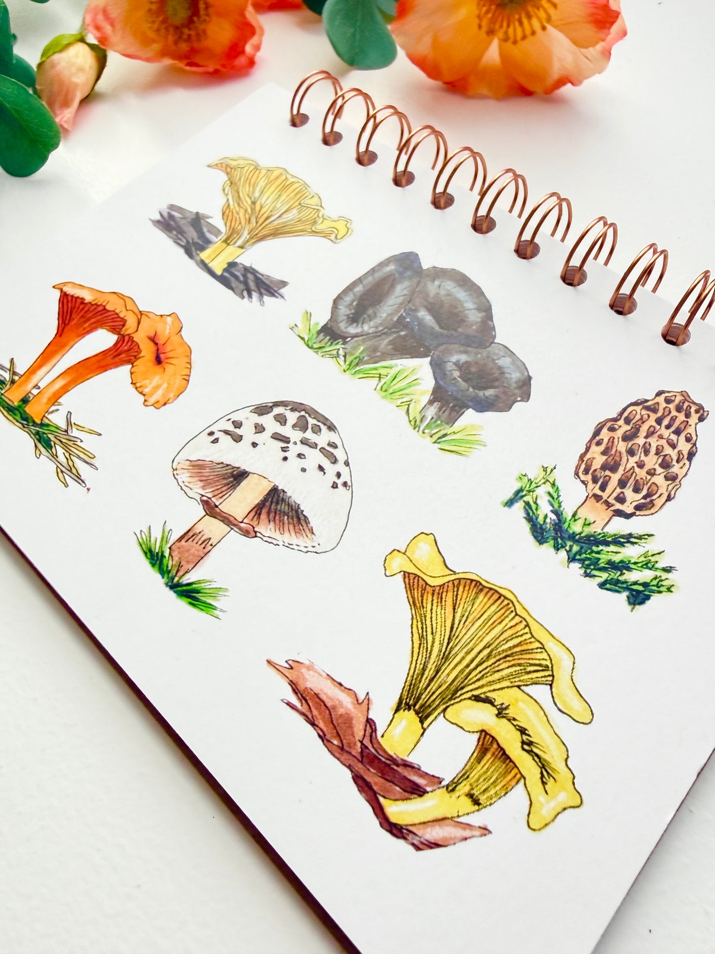 Mushrooms Hand-Illustrated + Handmade Notebook/Sketchbook