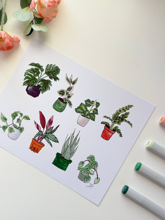 Houseplants | Recycled Cardstock Print