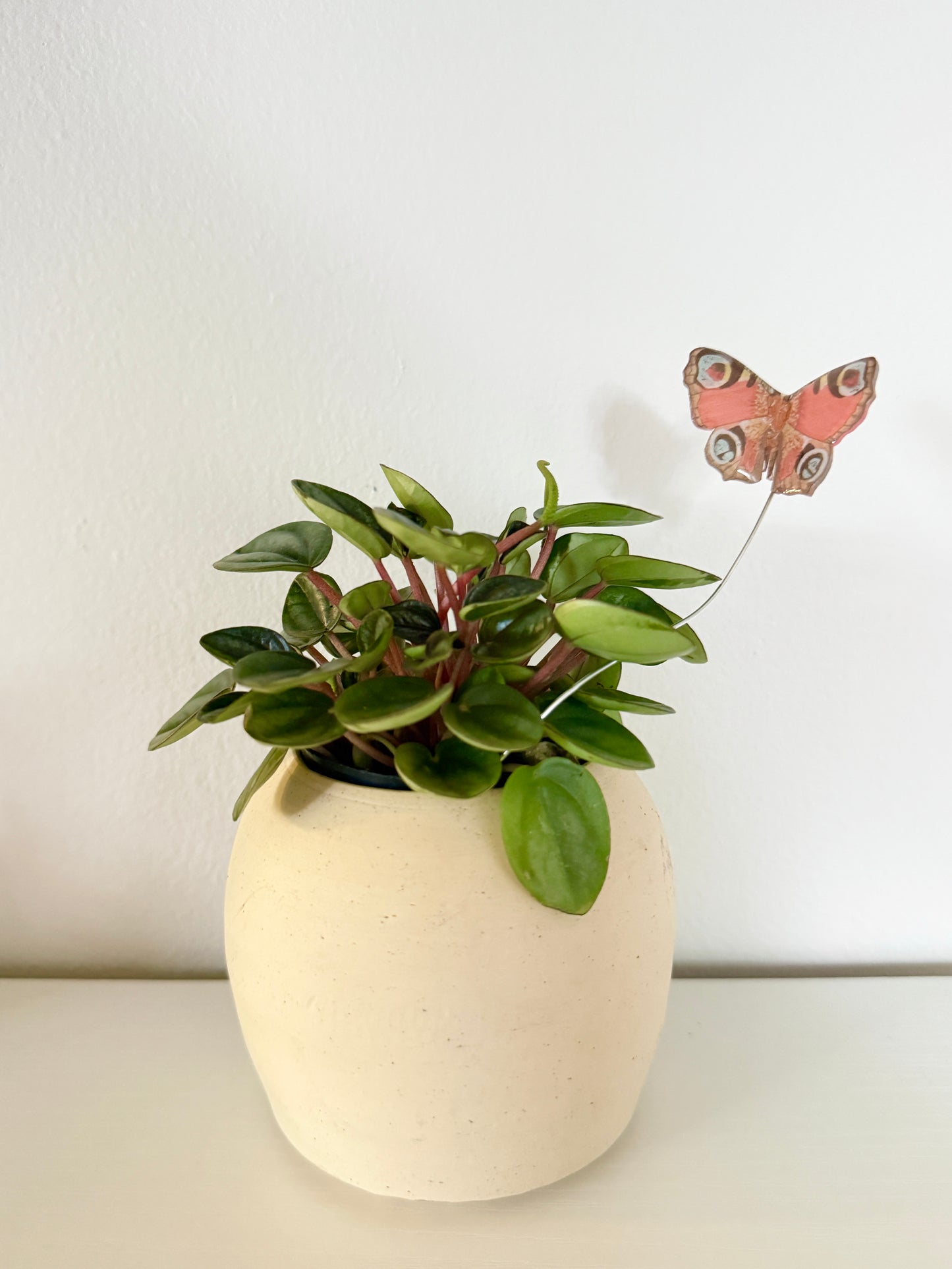 Red Peacock Butterfly Plant Buddy