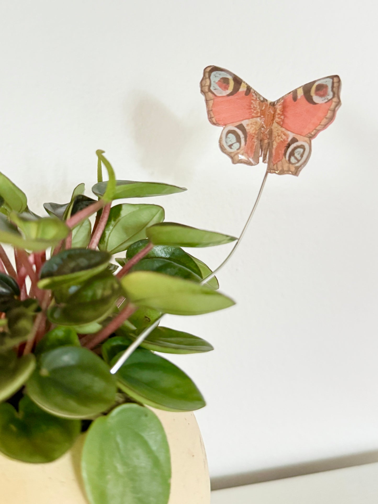 Red Peacock Butterfly Plant Buddy