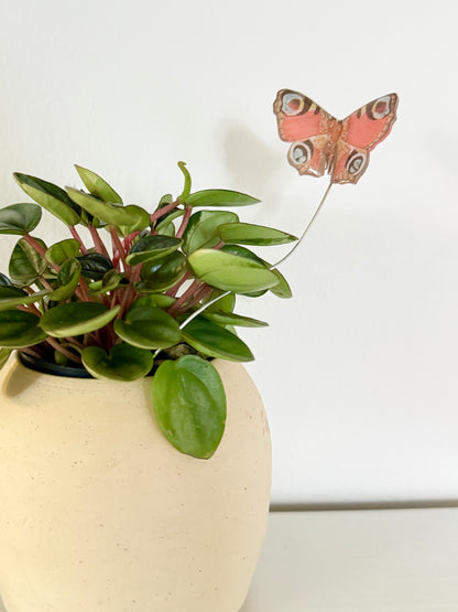 Red Peacock Butterfly Plant Buddy