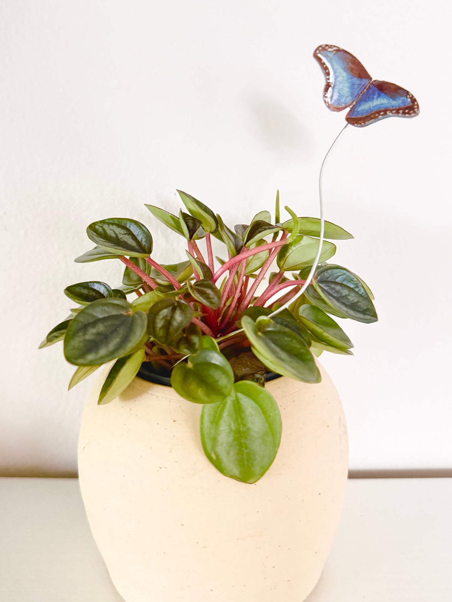Blue Morpho Butterfly Plant Buddy
