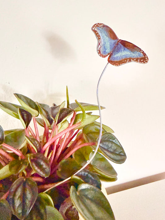 Blue Morpho Butterfly Plant Buddy