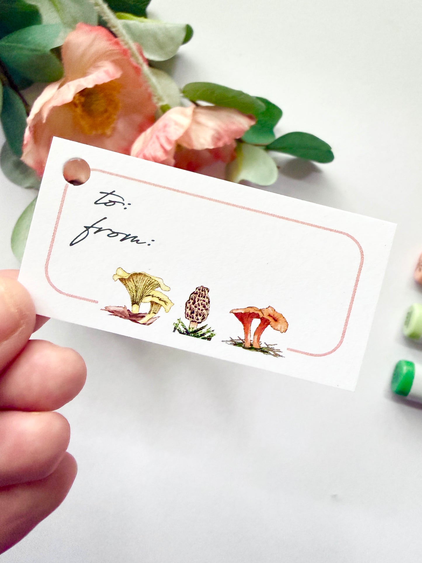 Hand-Illustrated Mushrooms Gift Tags | Set of 8