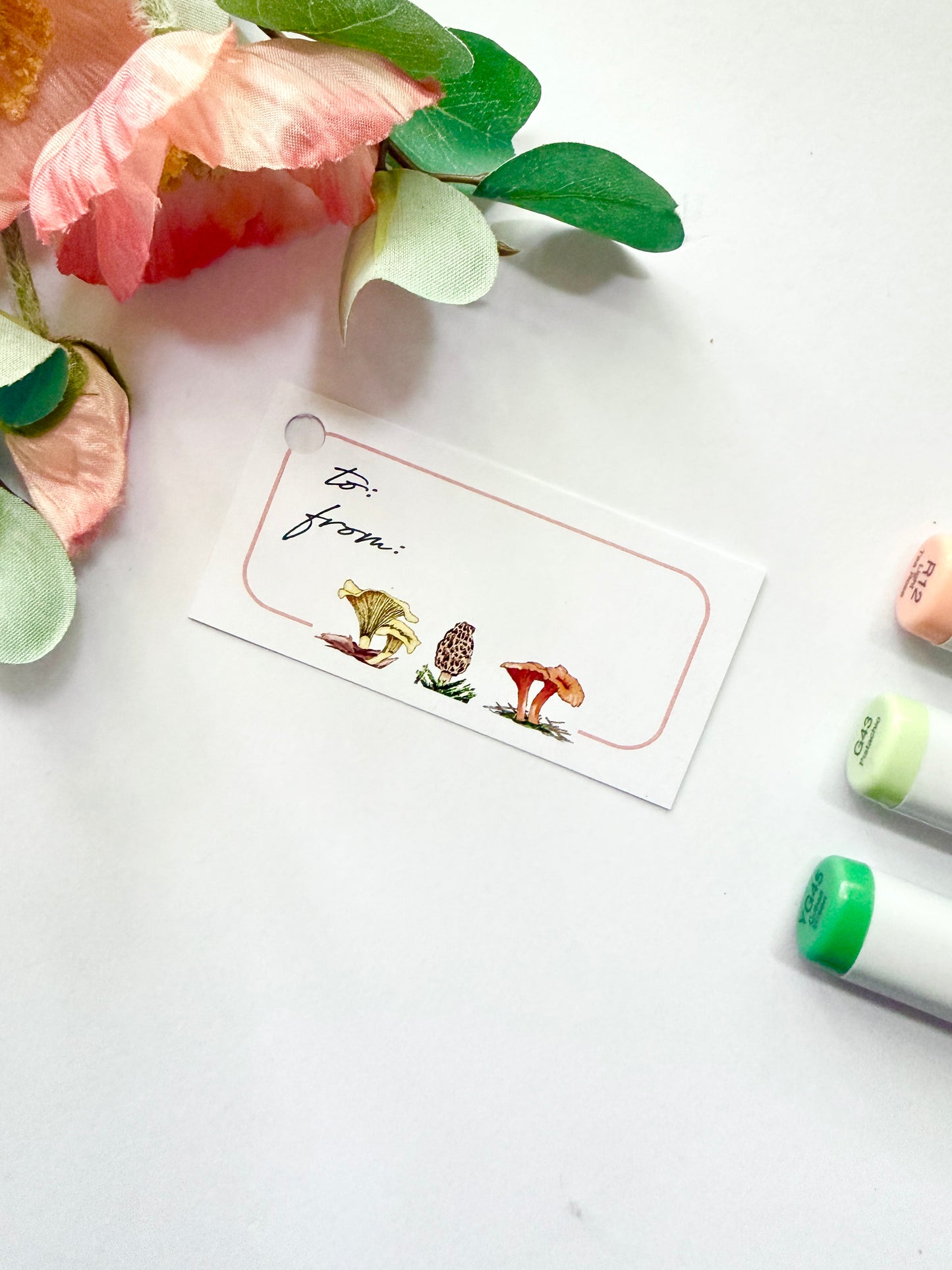 Hand-Illustrated Mushrooms Gift Tags | Set of 8