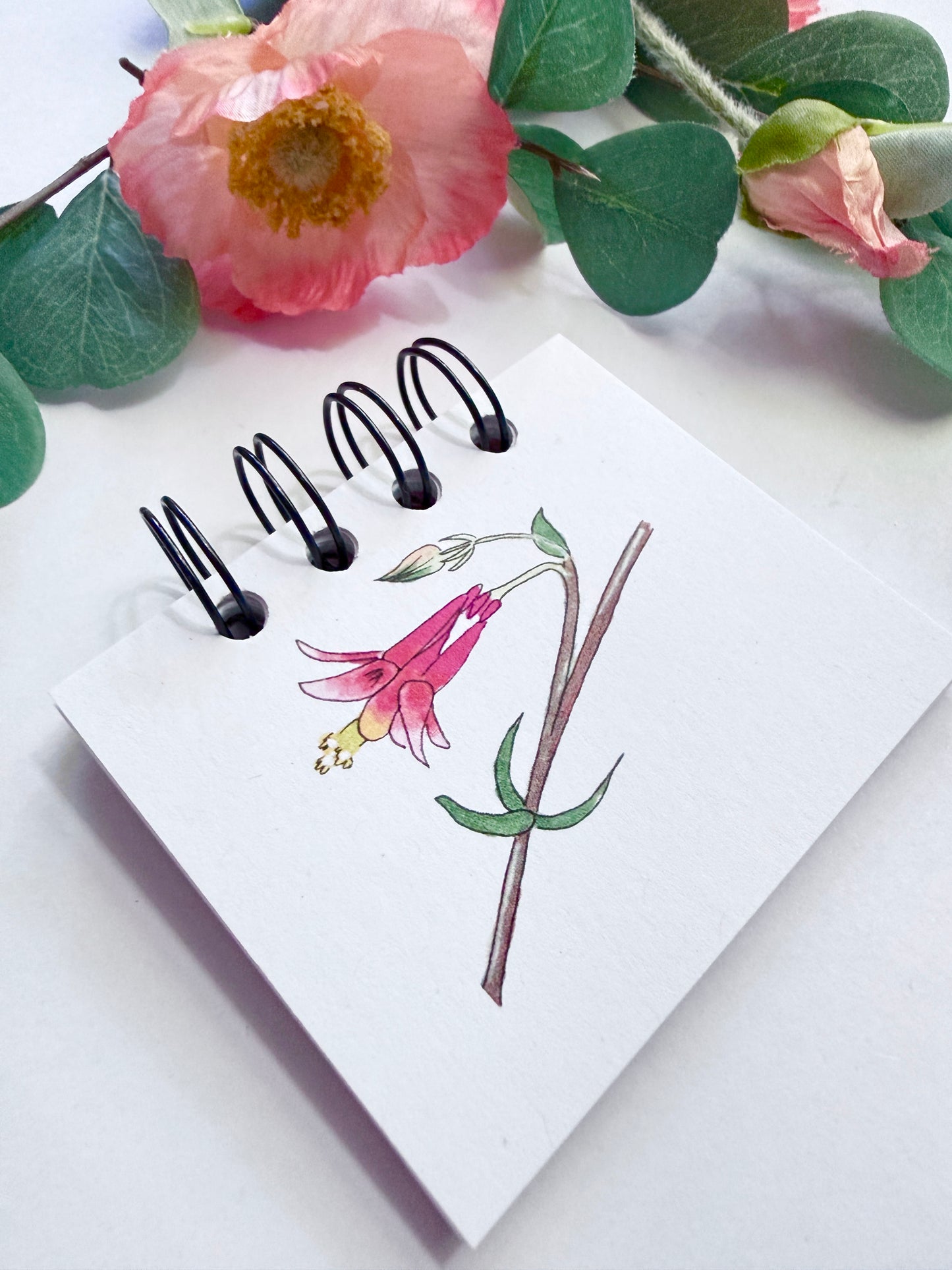 Handmade Mini Notebook/Sketchbook | Red Columbine