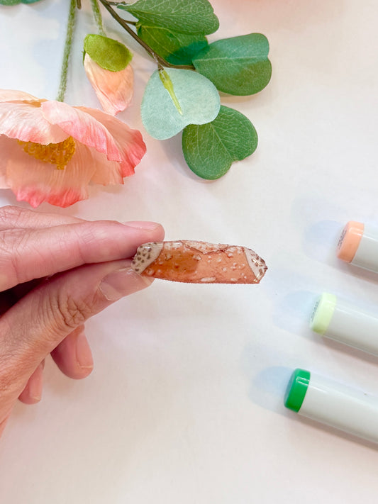 Hand-Illustrated + Handmade Cannoli Resin Hair Clip