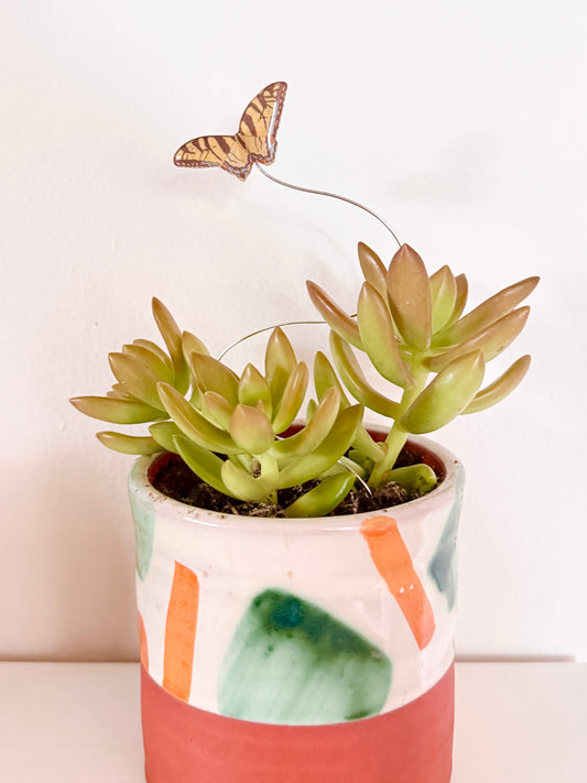 Eastern Tiger Swallowtail Plant Buddy