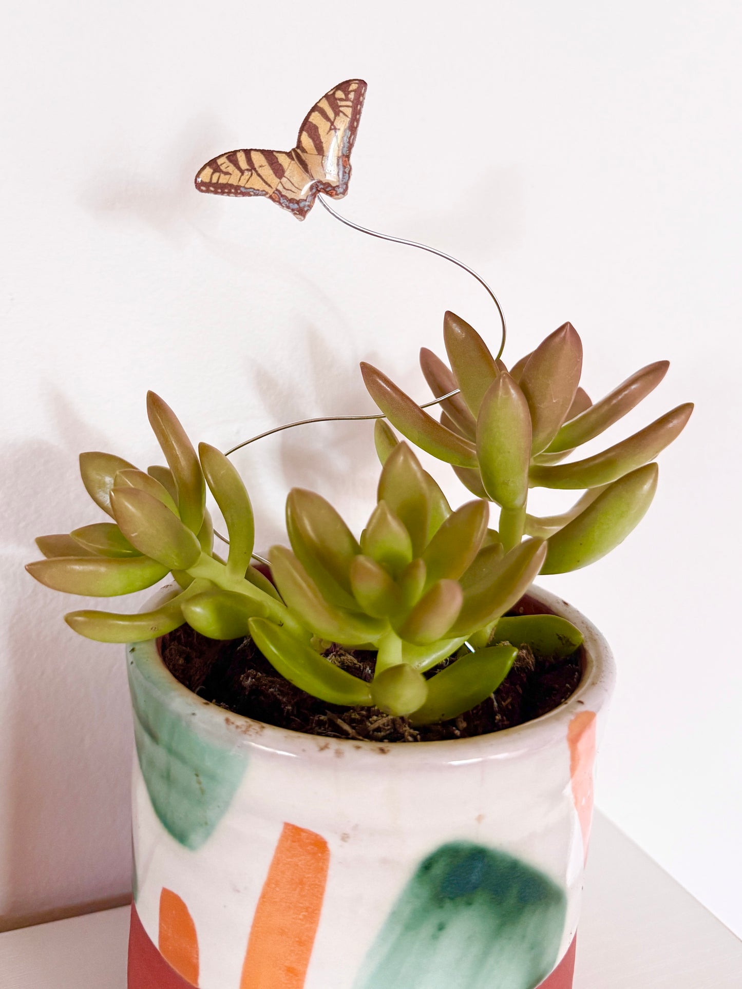 Eastern Tiger Swallowtail Plant Buddy