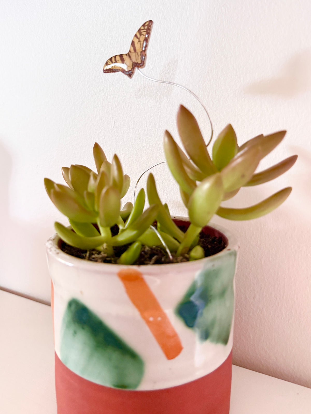 Eastern Tiger Swallowtail Plant Buddy