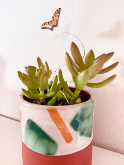 Eastern Tiger Swallowtail Plant Buddy