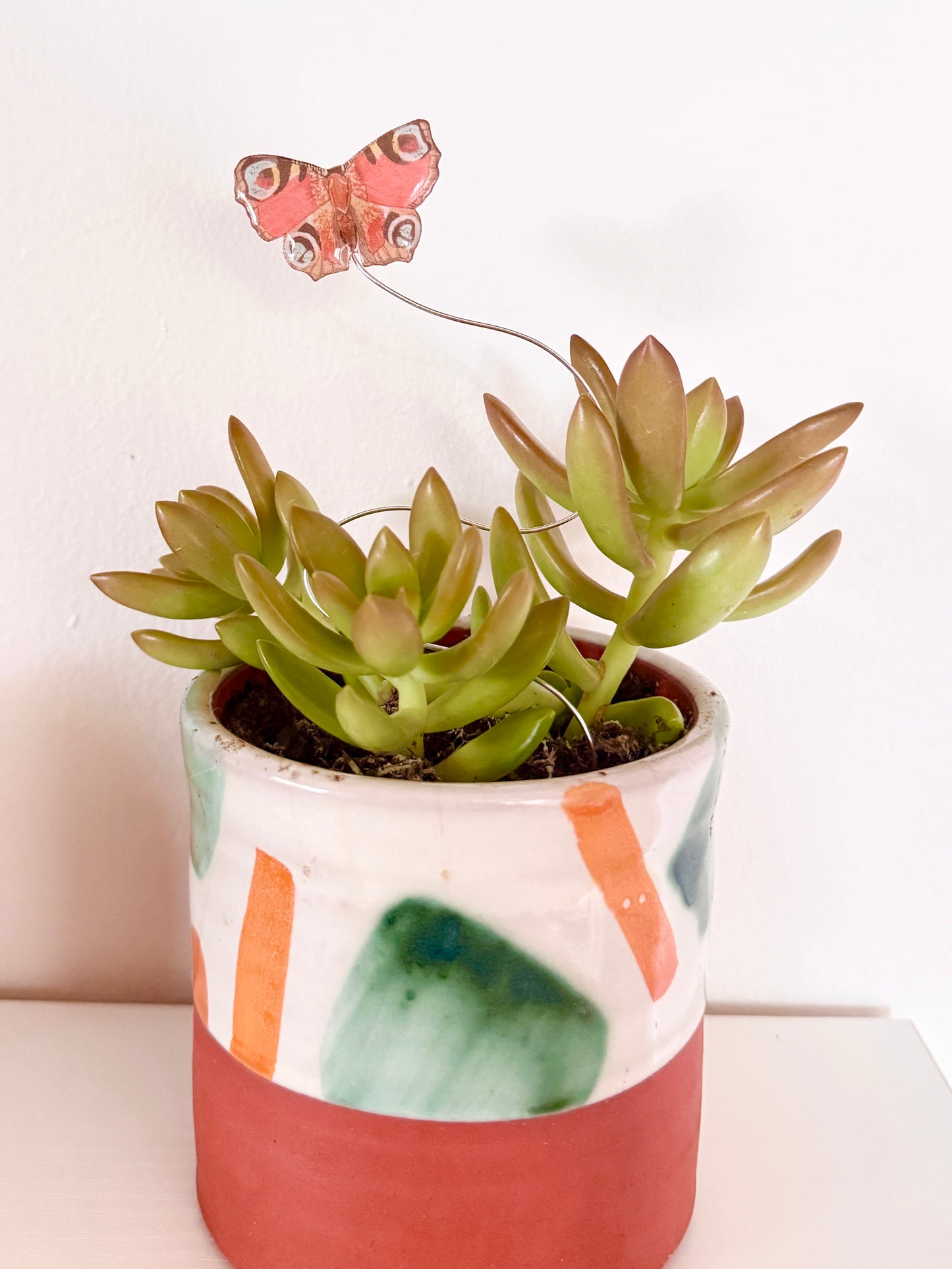 Red Peacock Butterfly Plant Buddy
