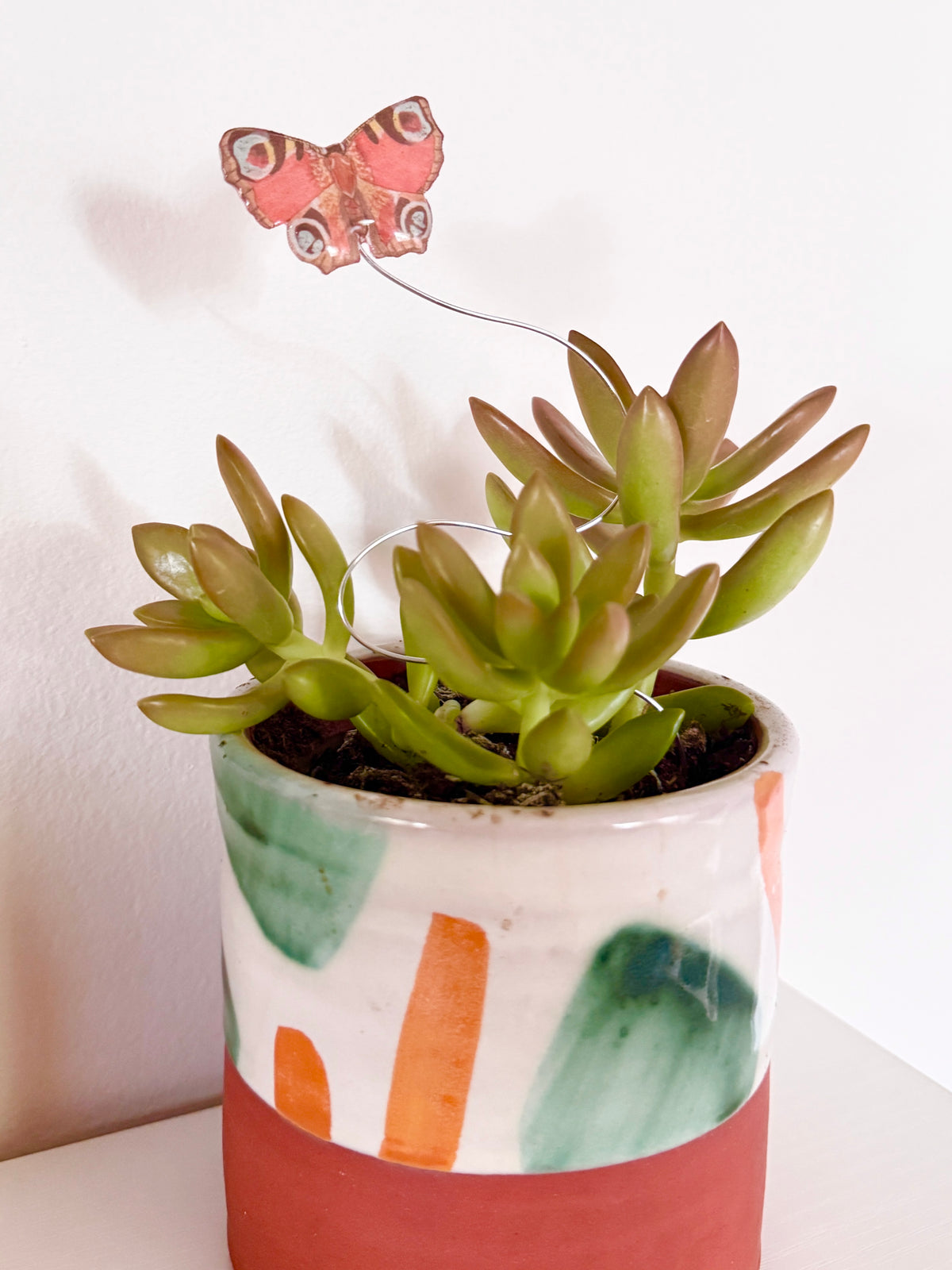 Red Peacock Butterfly Plant Buddy