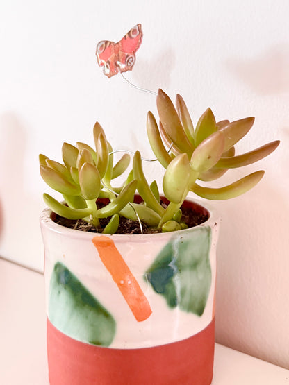 Red Peacock Butterfly Plant Buddy