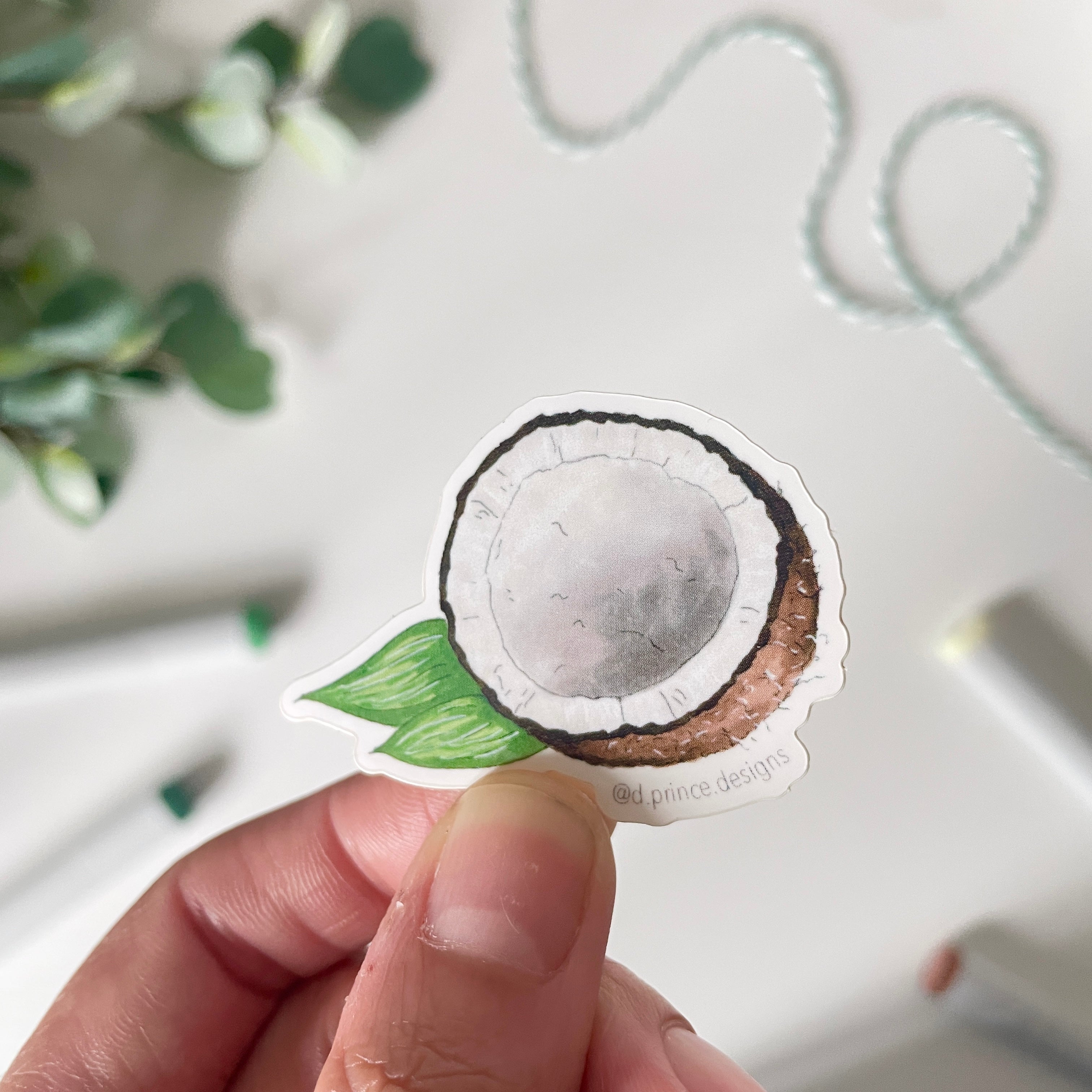 Coconut Sticker Small Hand-Illustrated Coconut | 2