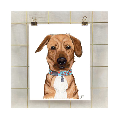 Hand-Illustrated Custom Pet Portrait