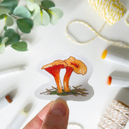 Hand-Illustrated Chanterelle Mushroom | 2" Vinyl Sticker