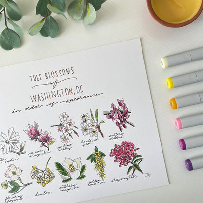 Tree Blossoms of Washington, DC | Recycled Cardstock Print