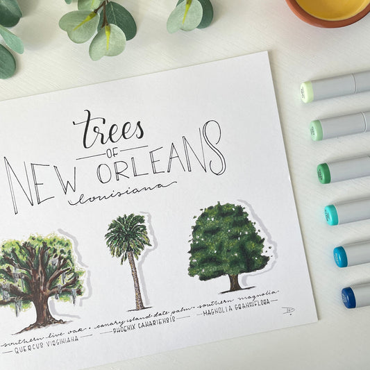 Trees of New Orleans | Recycled Cardstock Print