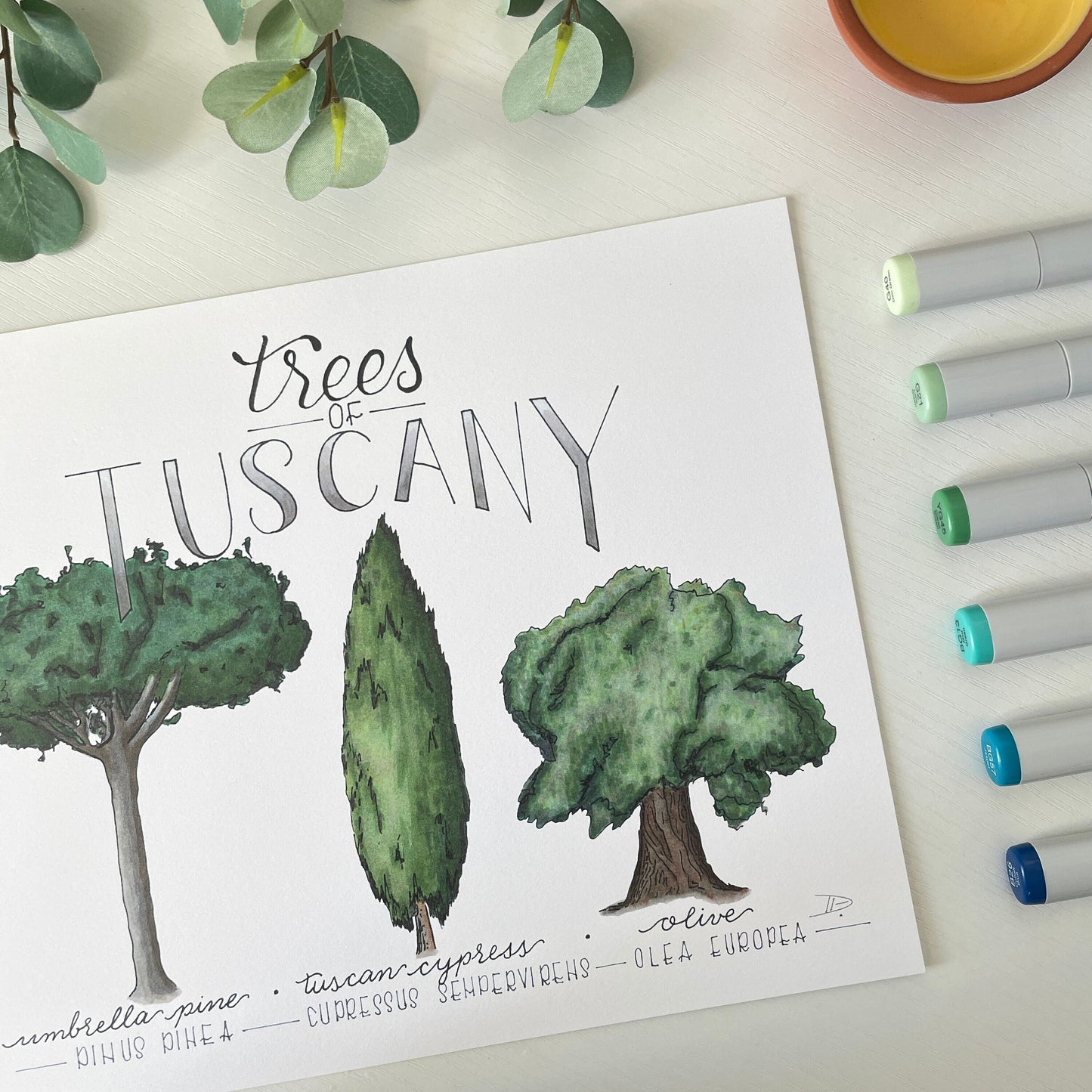 Trees of Tuscany | Recycled Cardstock Print